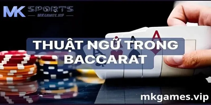 Thuật ngữ trong cách chơi bài Baccarat tại Mksport